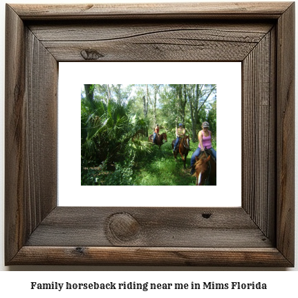 family horseback riding near me in Mims, Florida